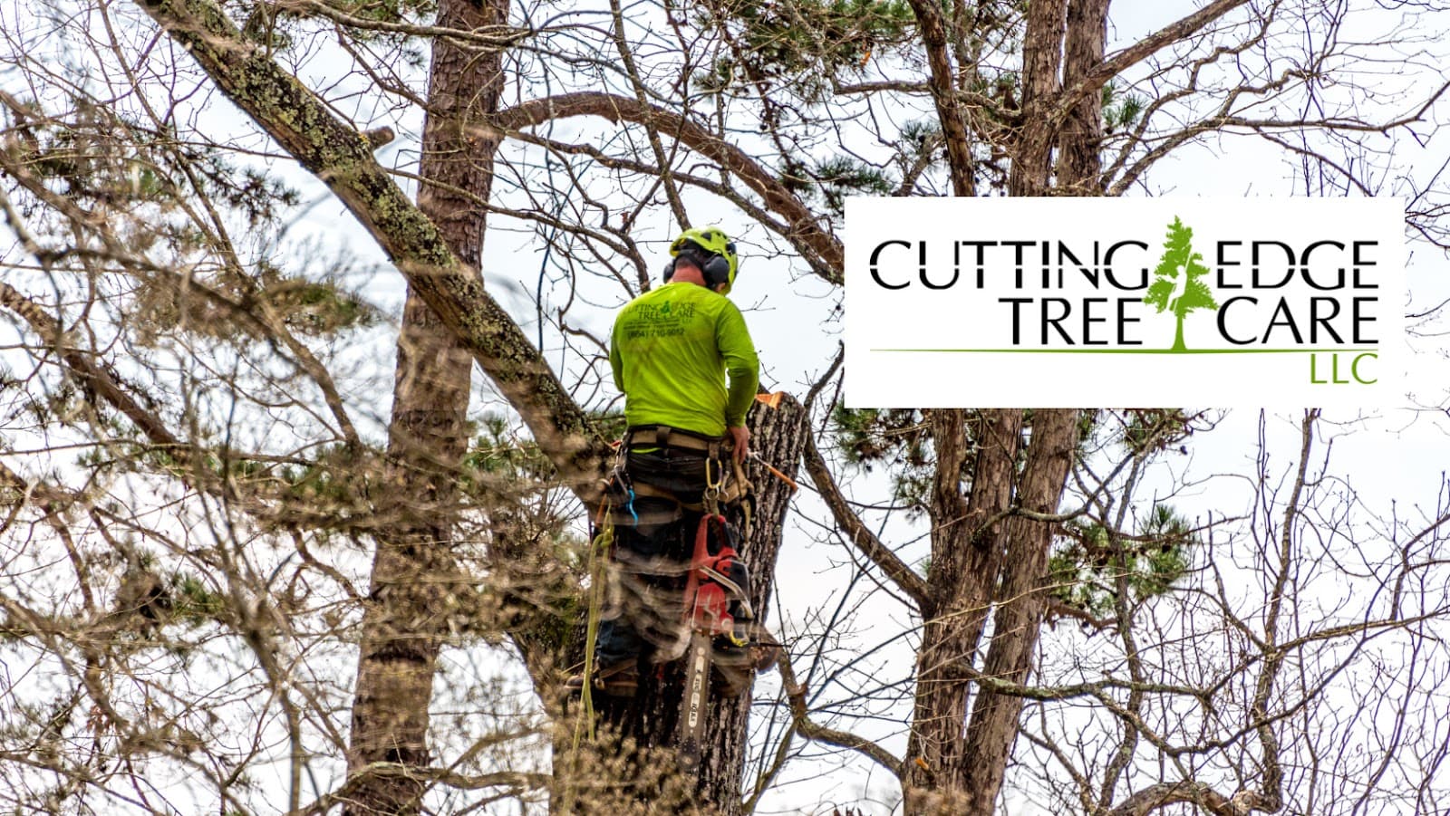 Cutting Edge Tree Care, LLC