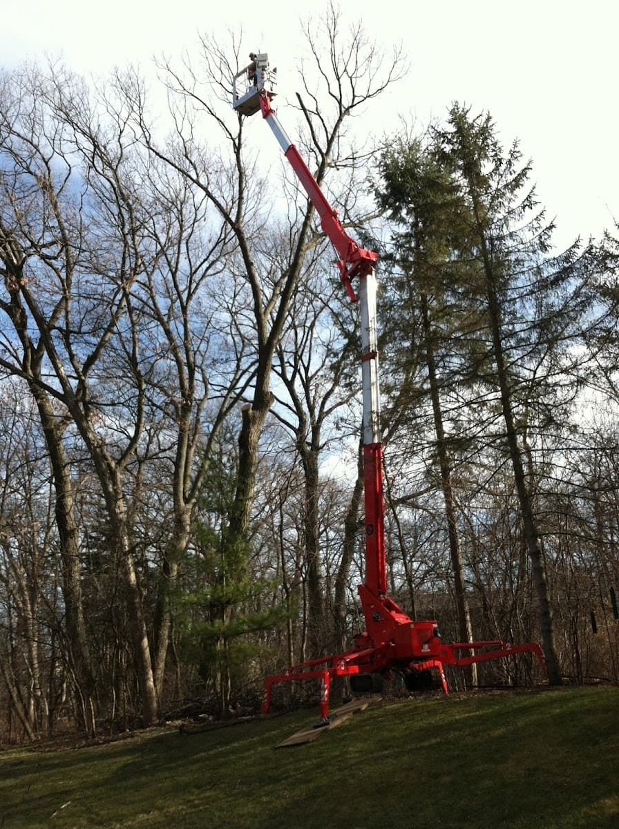 Northern Tree Services