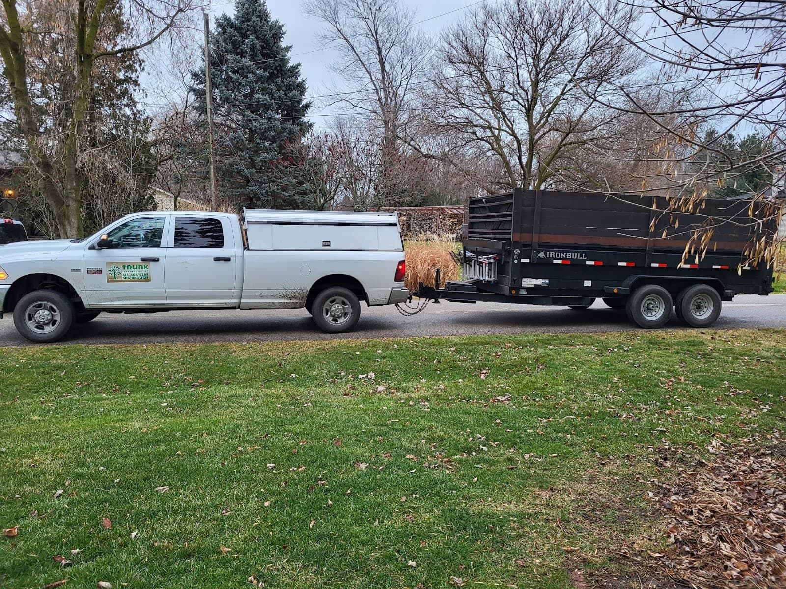 Trunk Tree Service, LLC