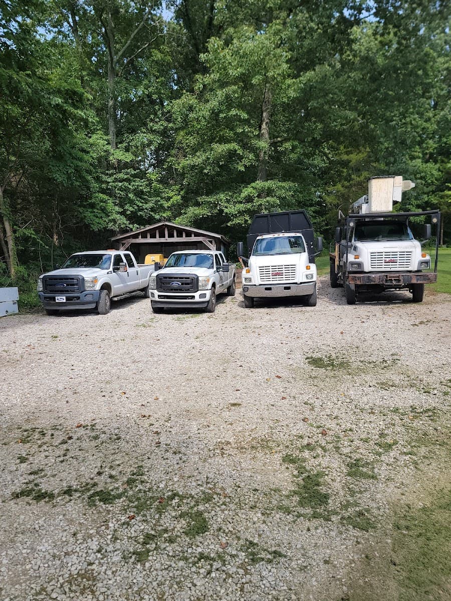 Lightning Tree Service LLC