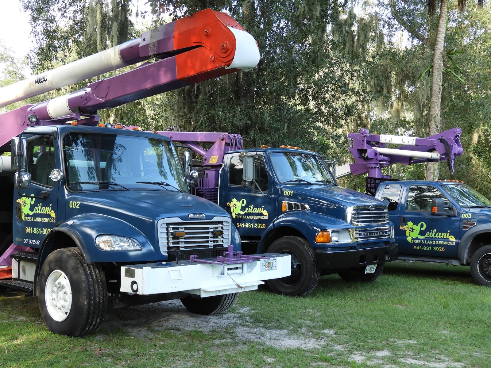 Leilani Tree Service