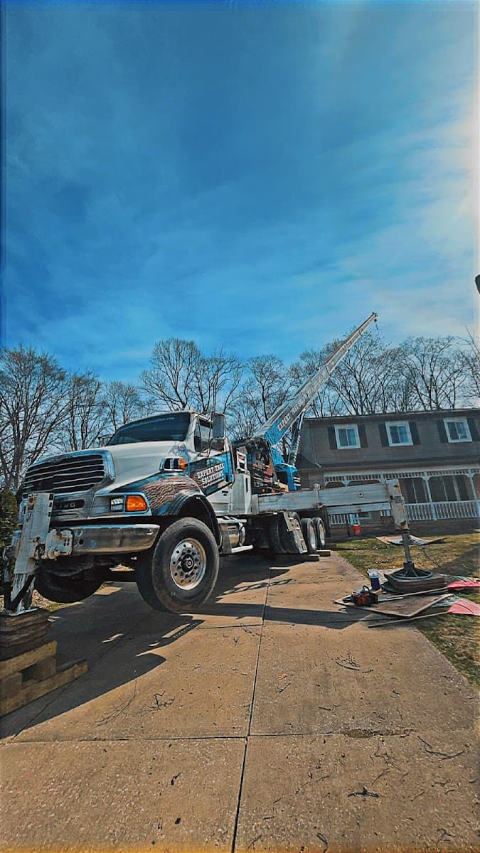 Expert Tree Solutions