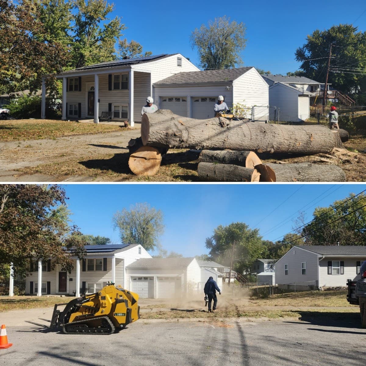 Family Tree Service & Stump Removal Of Blue Springs