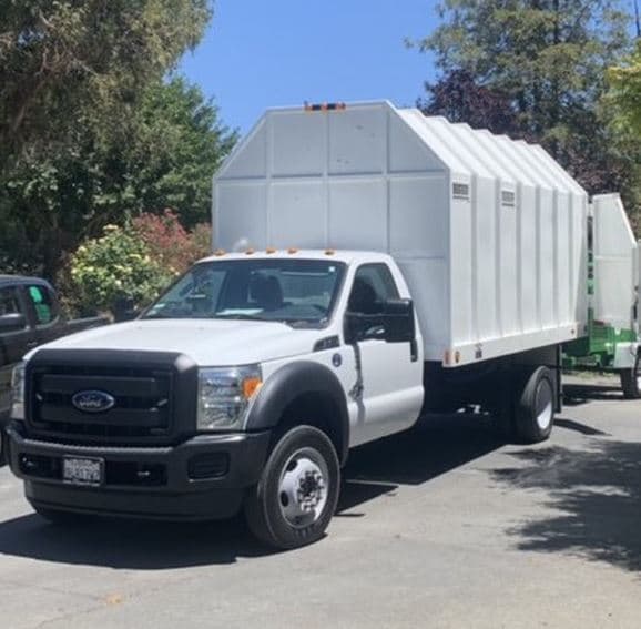 Flores Tree & Landscape