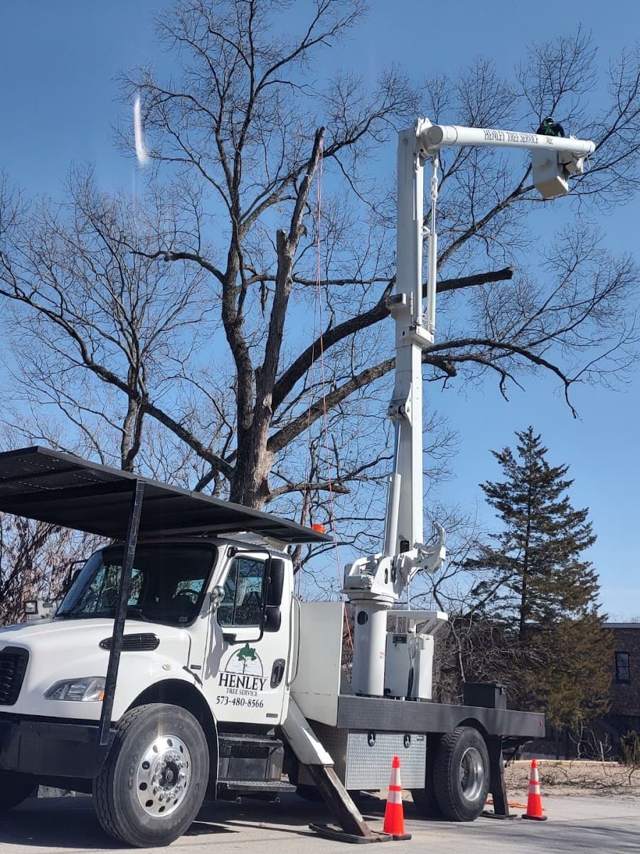 Henley Tree Service