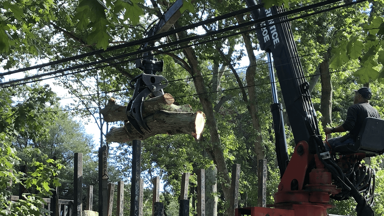 Allstate Tree & Shrub Corp.