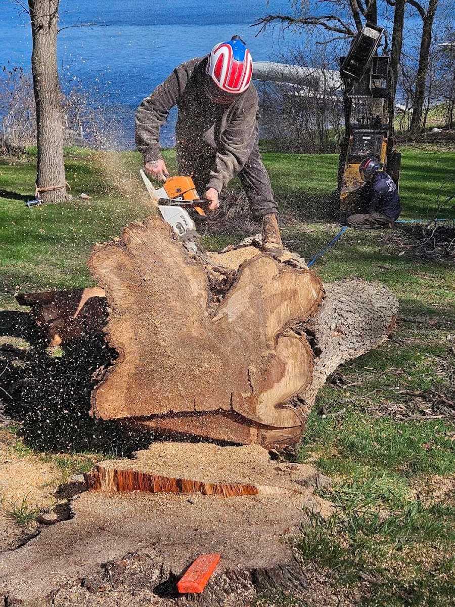Clean Cuts Tree Service
