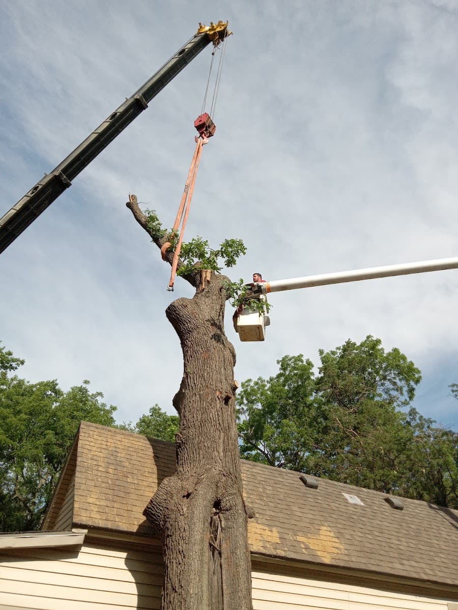 J D & Sons Tree Services LLC