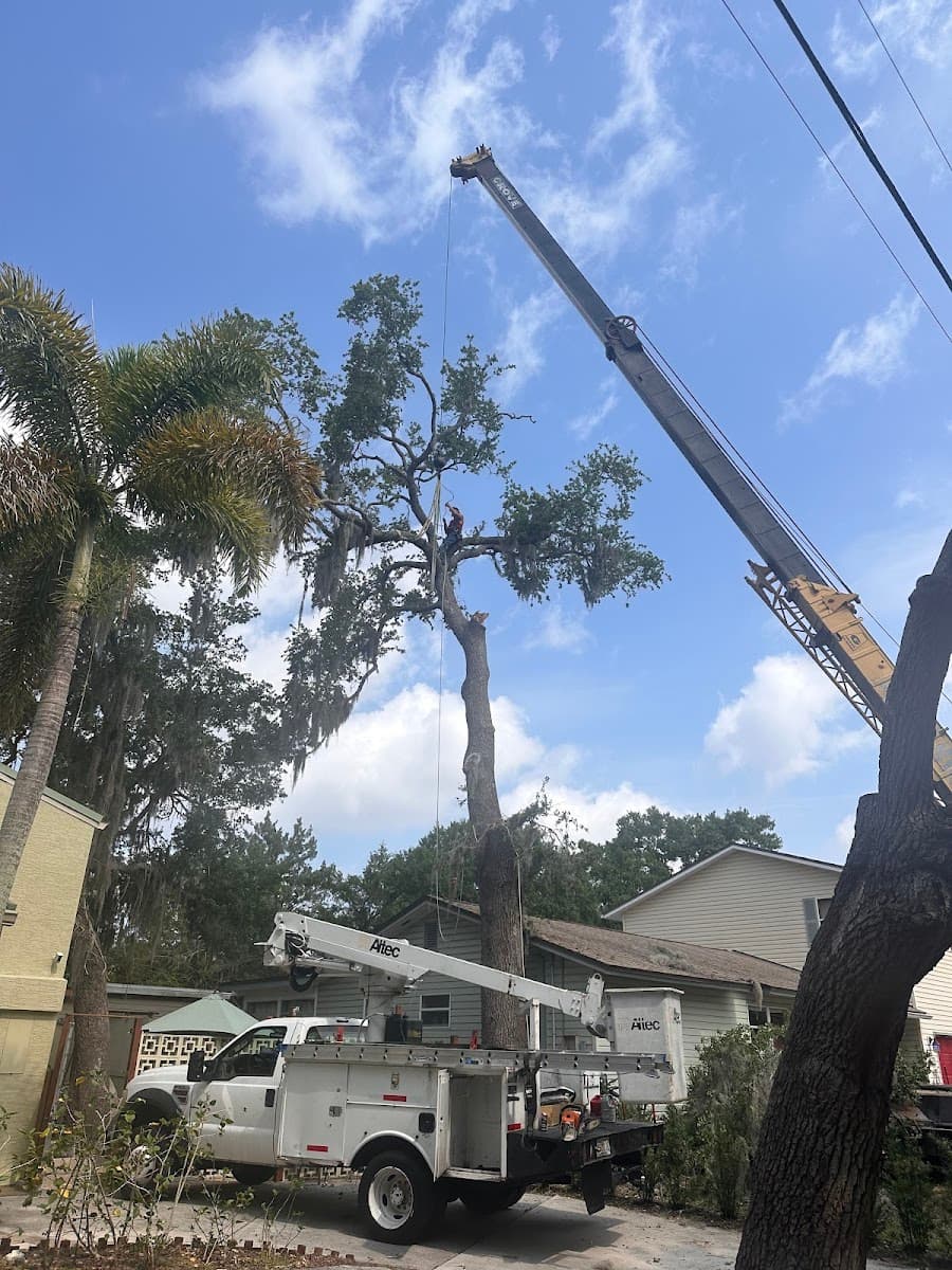 Experienced Tree Service LLC