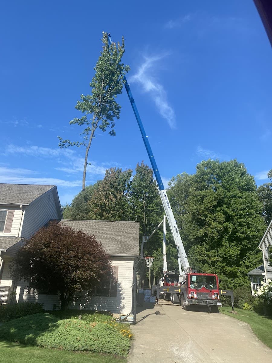 Nick's Tree Service and Nicks Hardscape