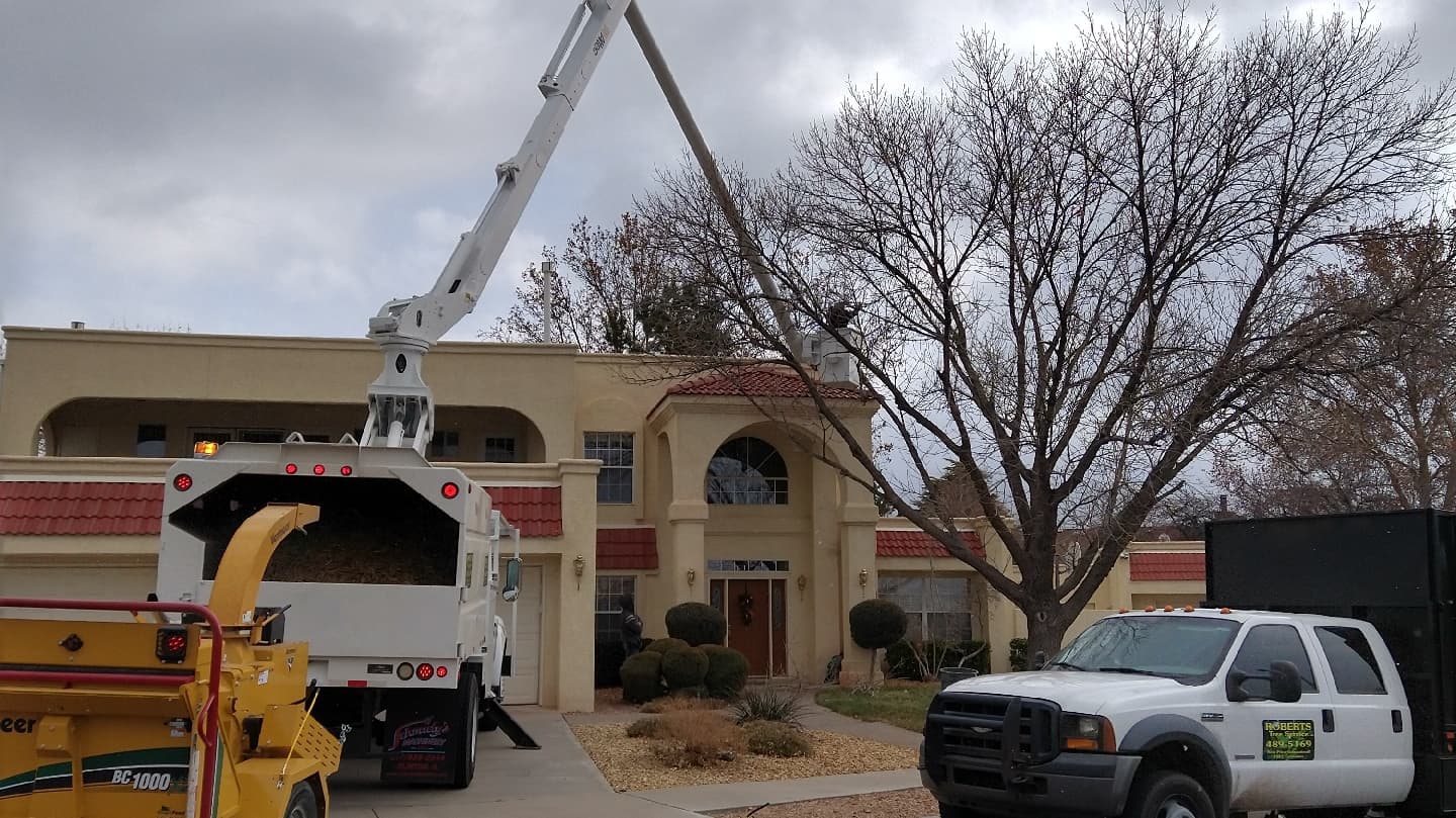 Robert's Tree Service LLC