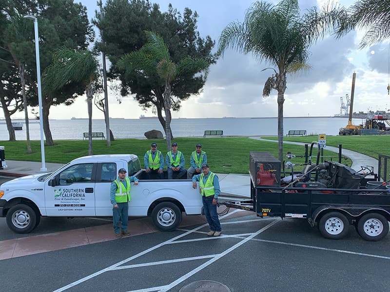 Southern California Tree and Landscape, Inc.
