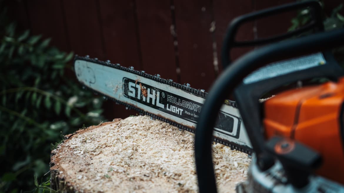 Swamp Rabbit Tree Co