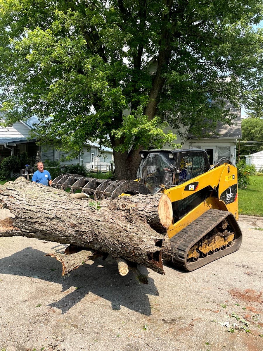 Josh Newsome's Tree Surgery