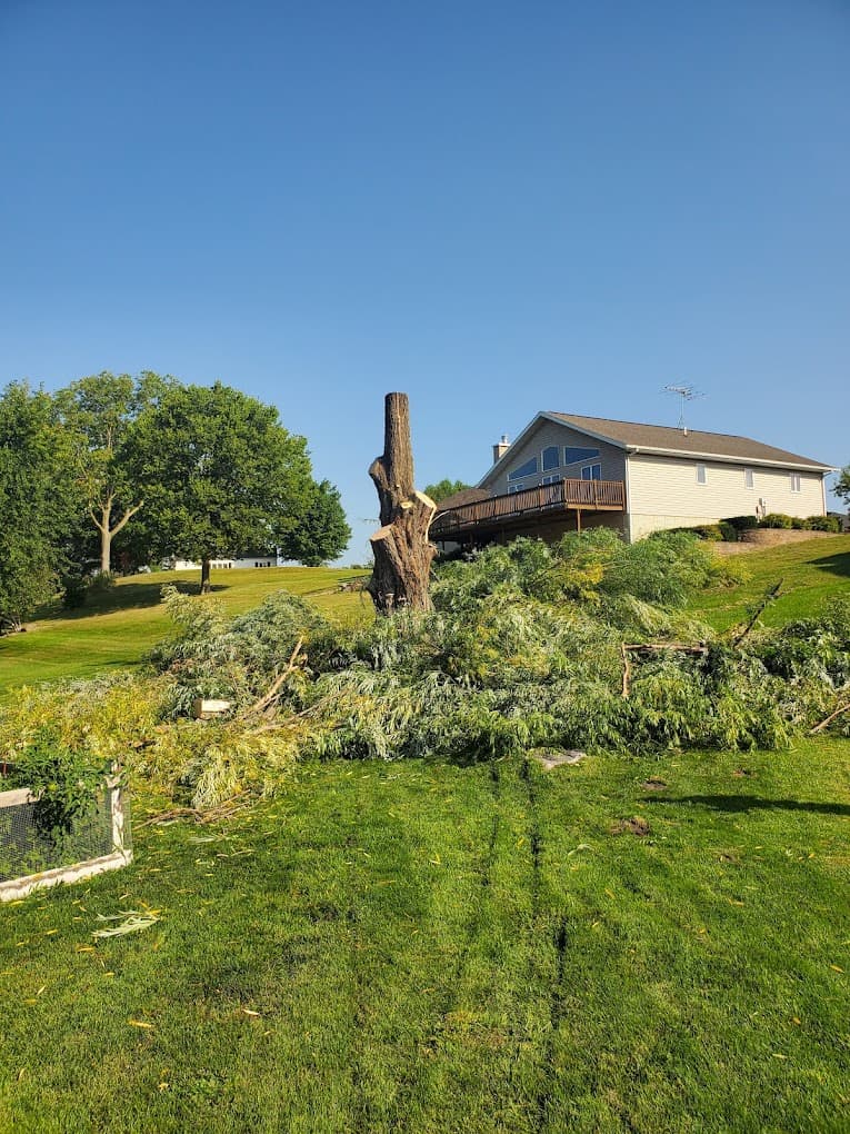 North Iowa Tree Service LLC