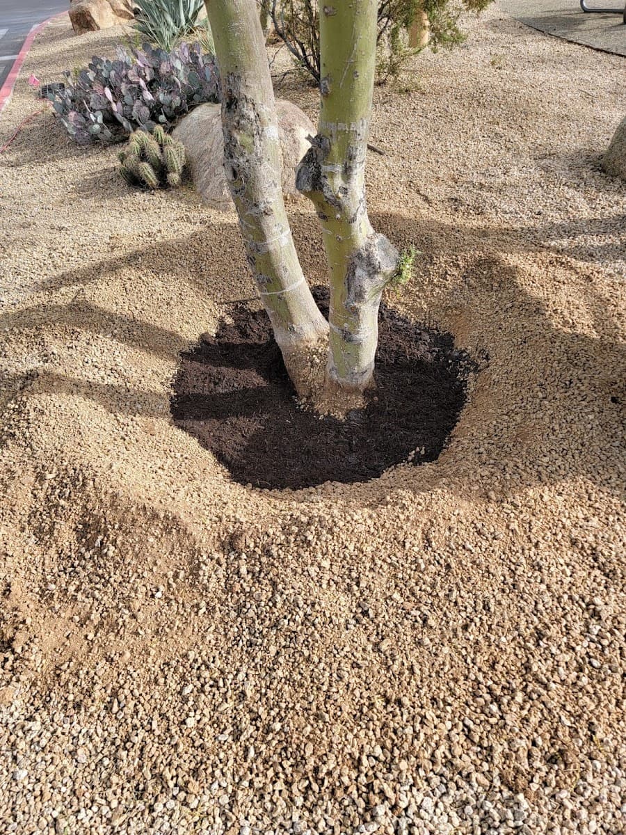 Branch Management Tree Service, LLC