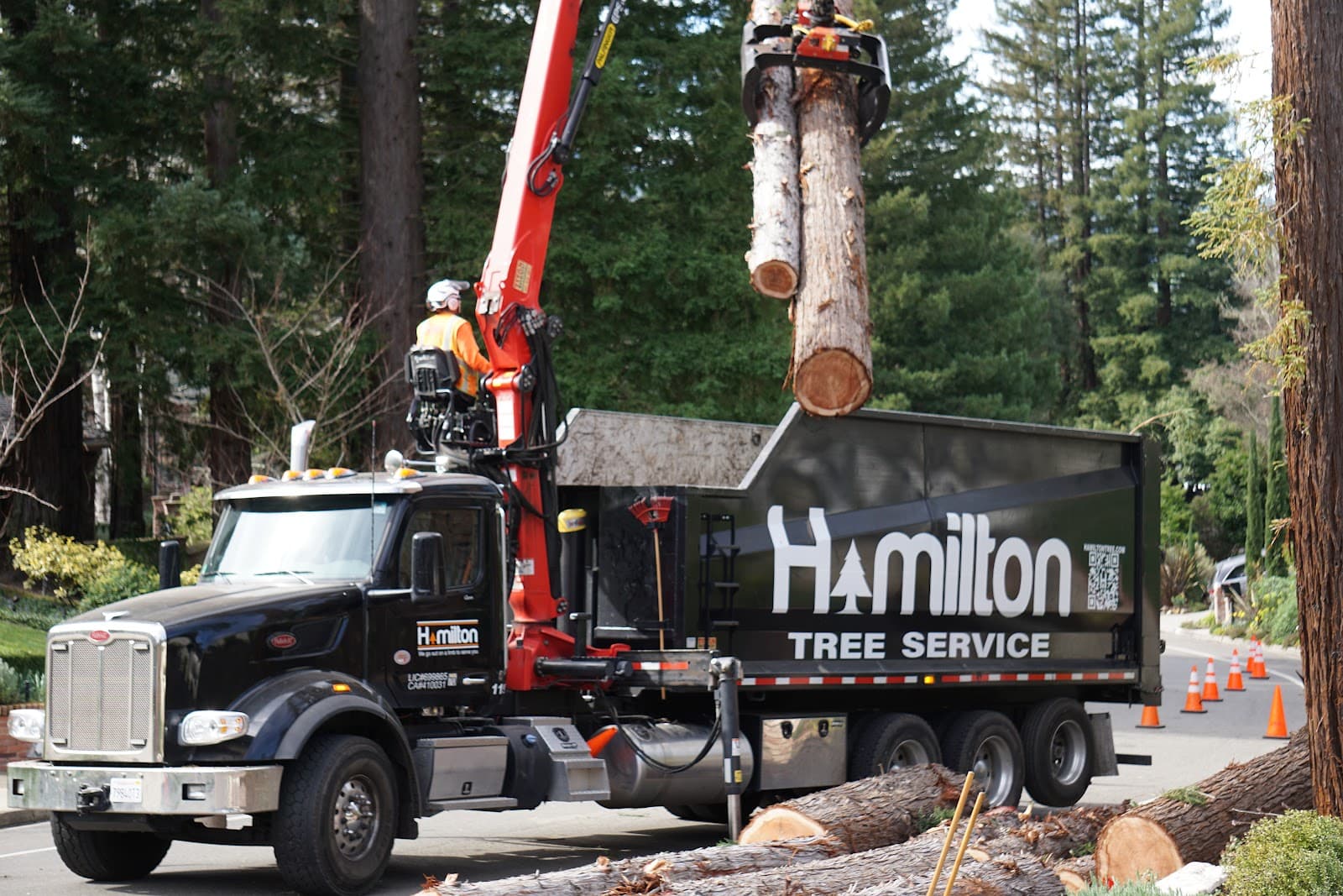 Hamilton Tree Service, Inc.