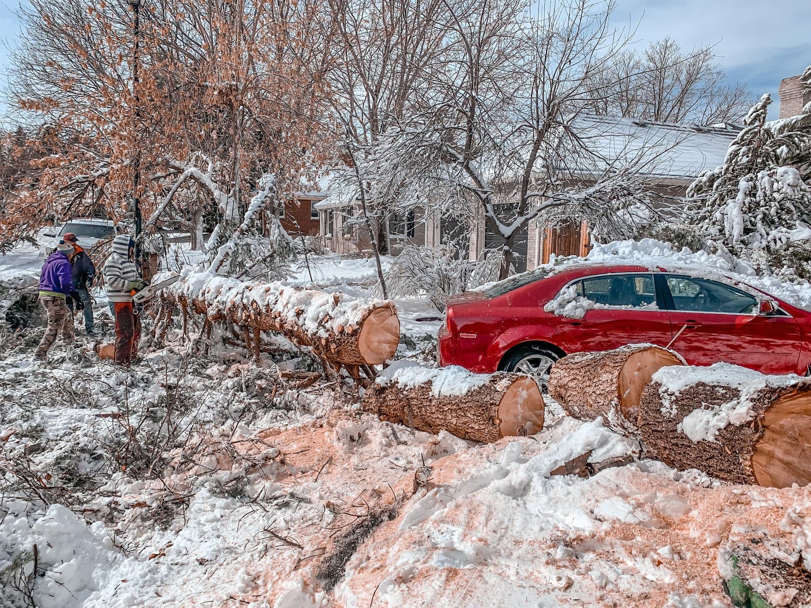 Aesthetic Tree Service, Inc.