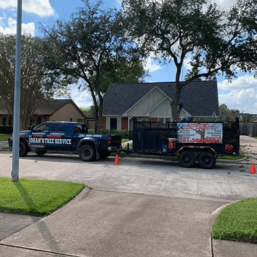 Johan's tree services