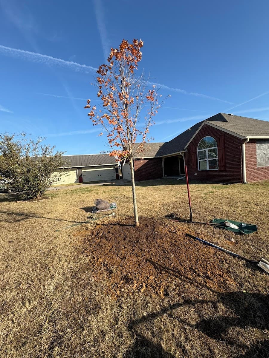 Outside inc Tulsa Tree Removal and Service