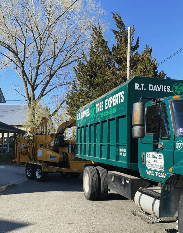 R.T. Davies Inc. Tree Experts