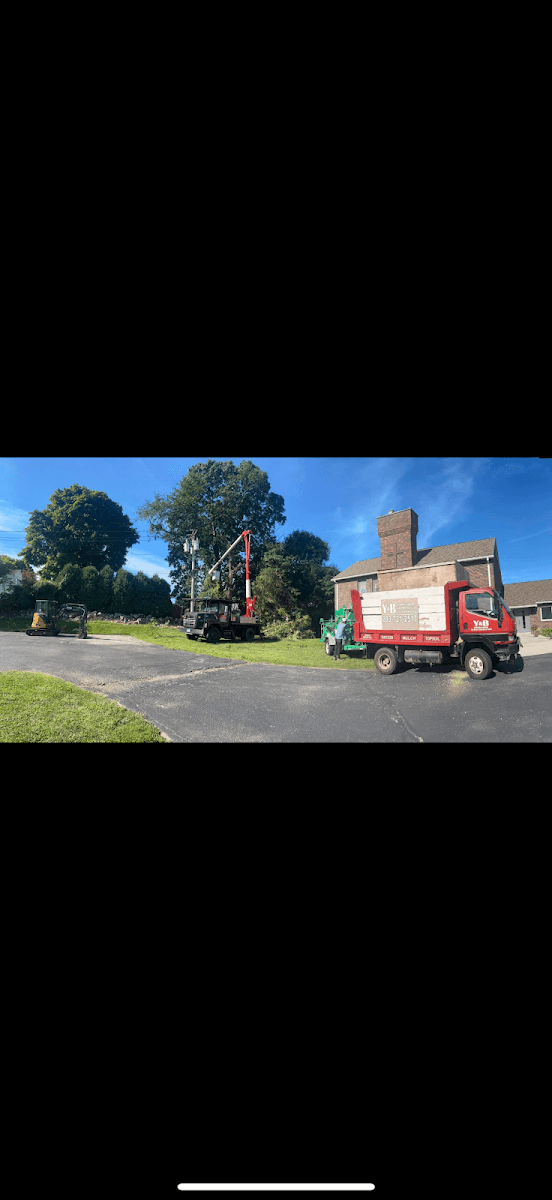 Y&B Landscaping Tree Services LLC