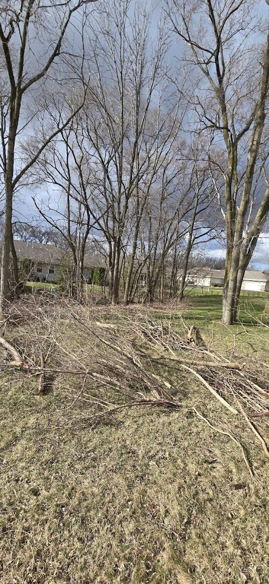 Angel's Tree Service LLC