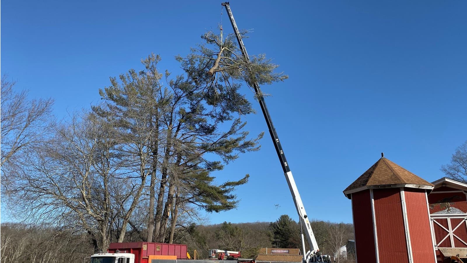 North Smithfield Tree Service