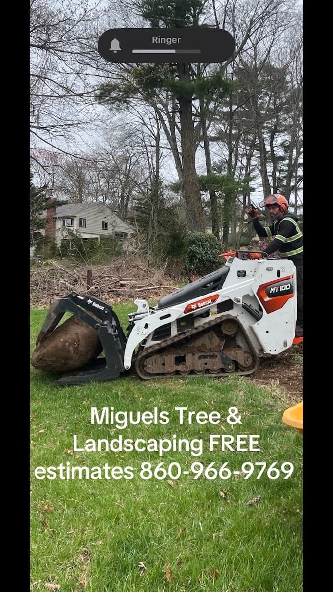 Miguel's Tree & Landscaping