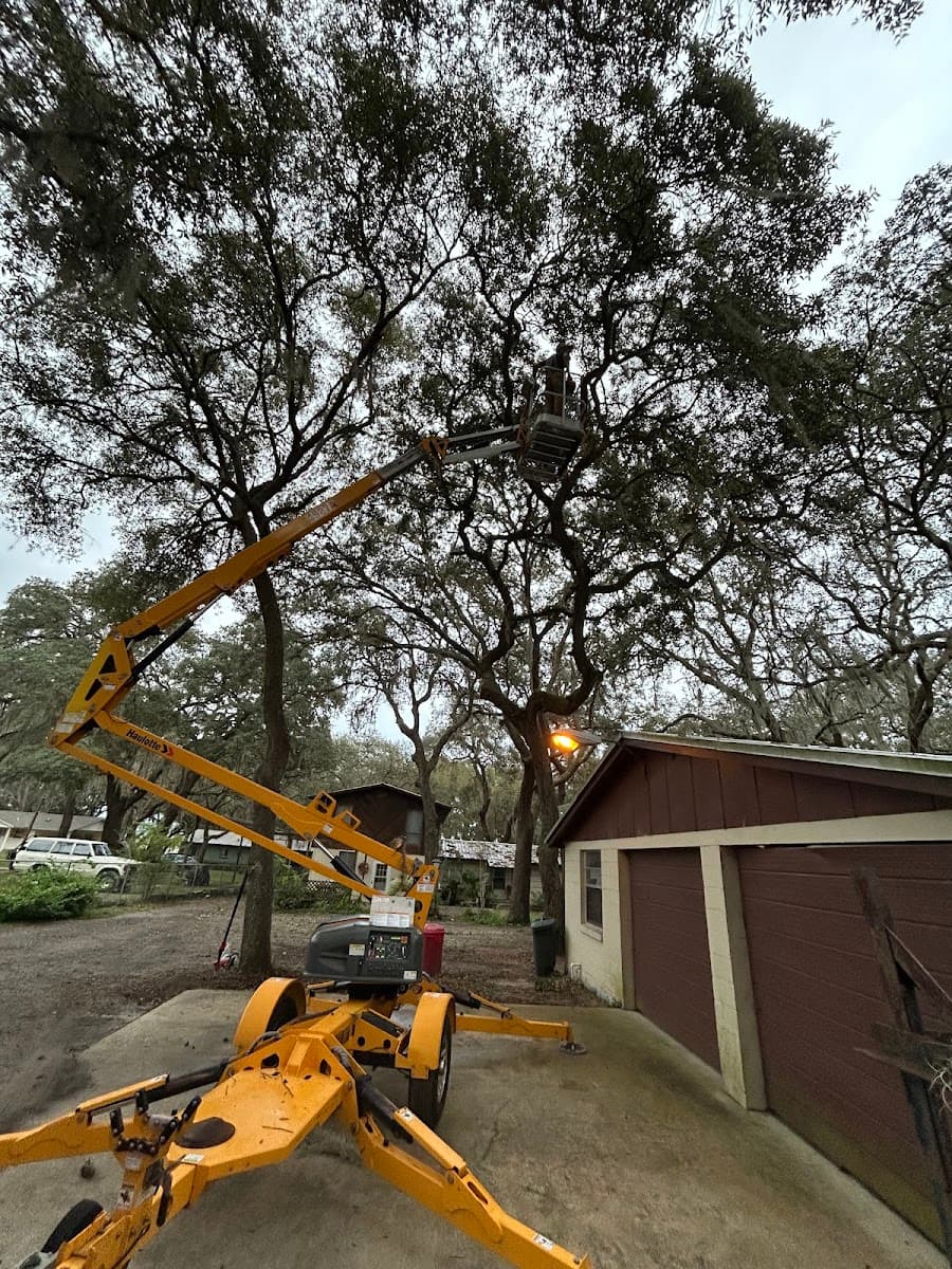 Patriot trees and more