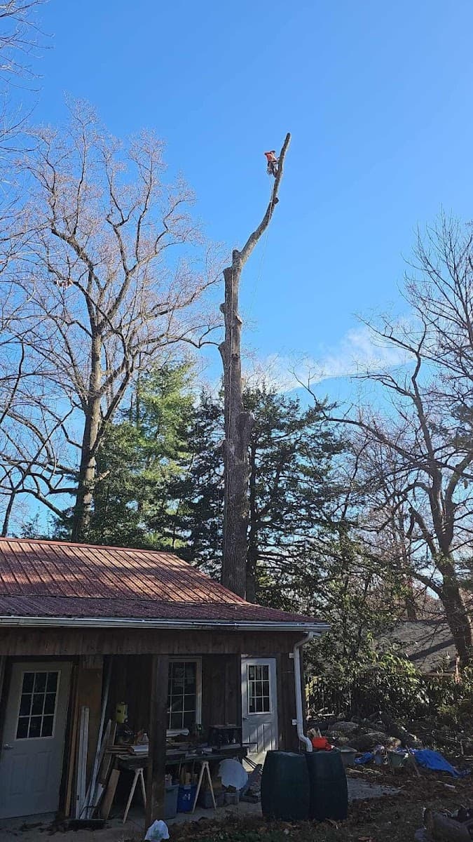 Virginia Tree Care & Landscaping