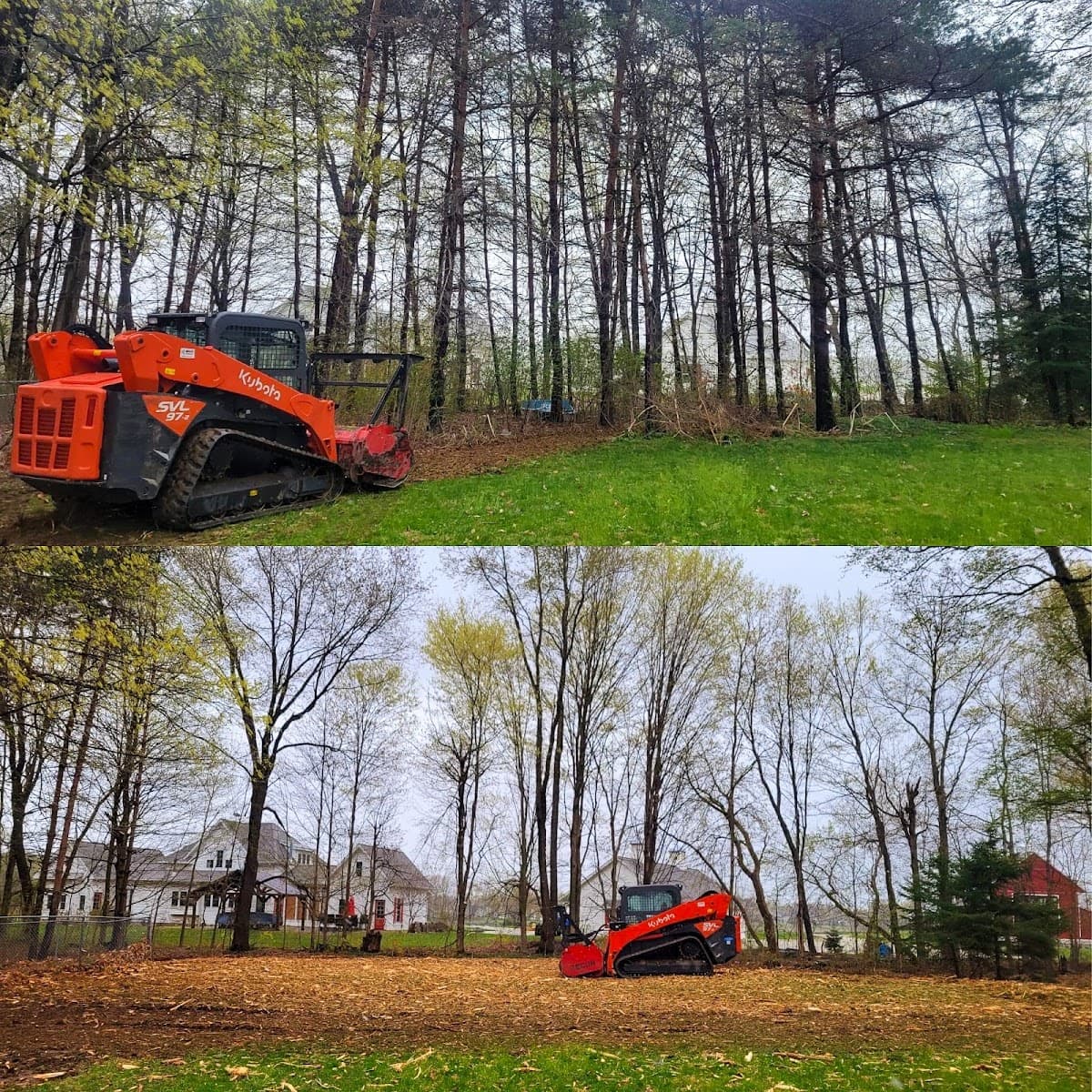 Certified Tree Service