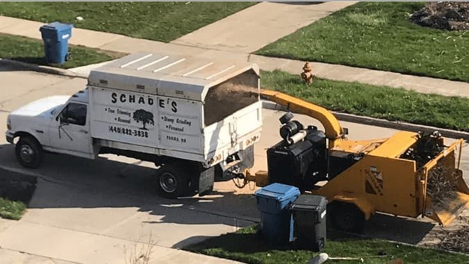 Schades Tree Service