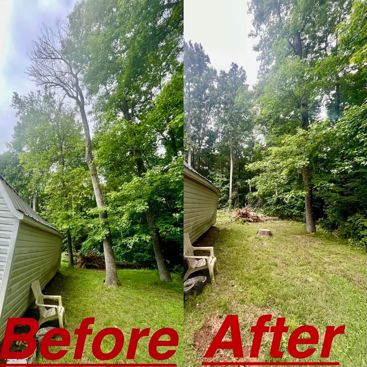 Ingram’s Tree Service