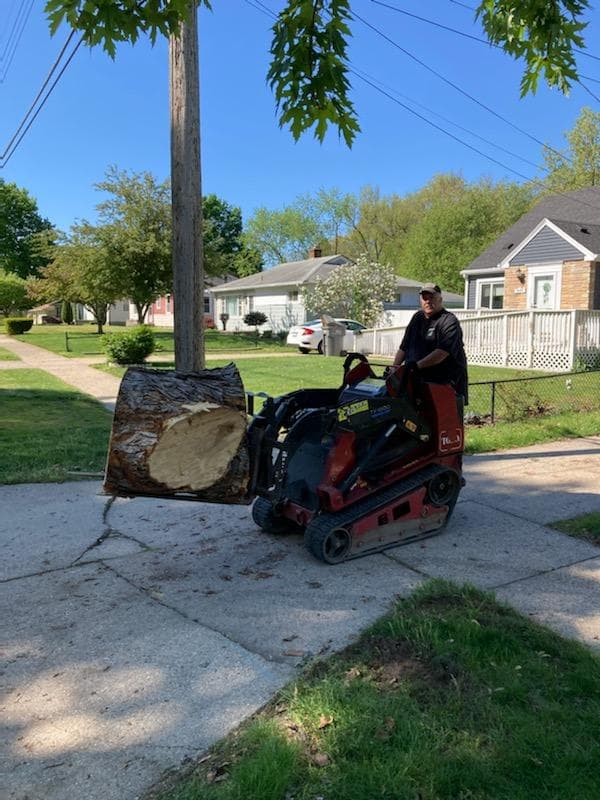 Hank's Tree Service , LLC