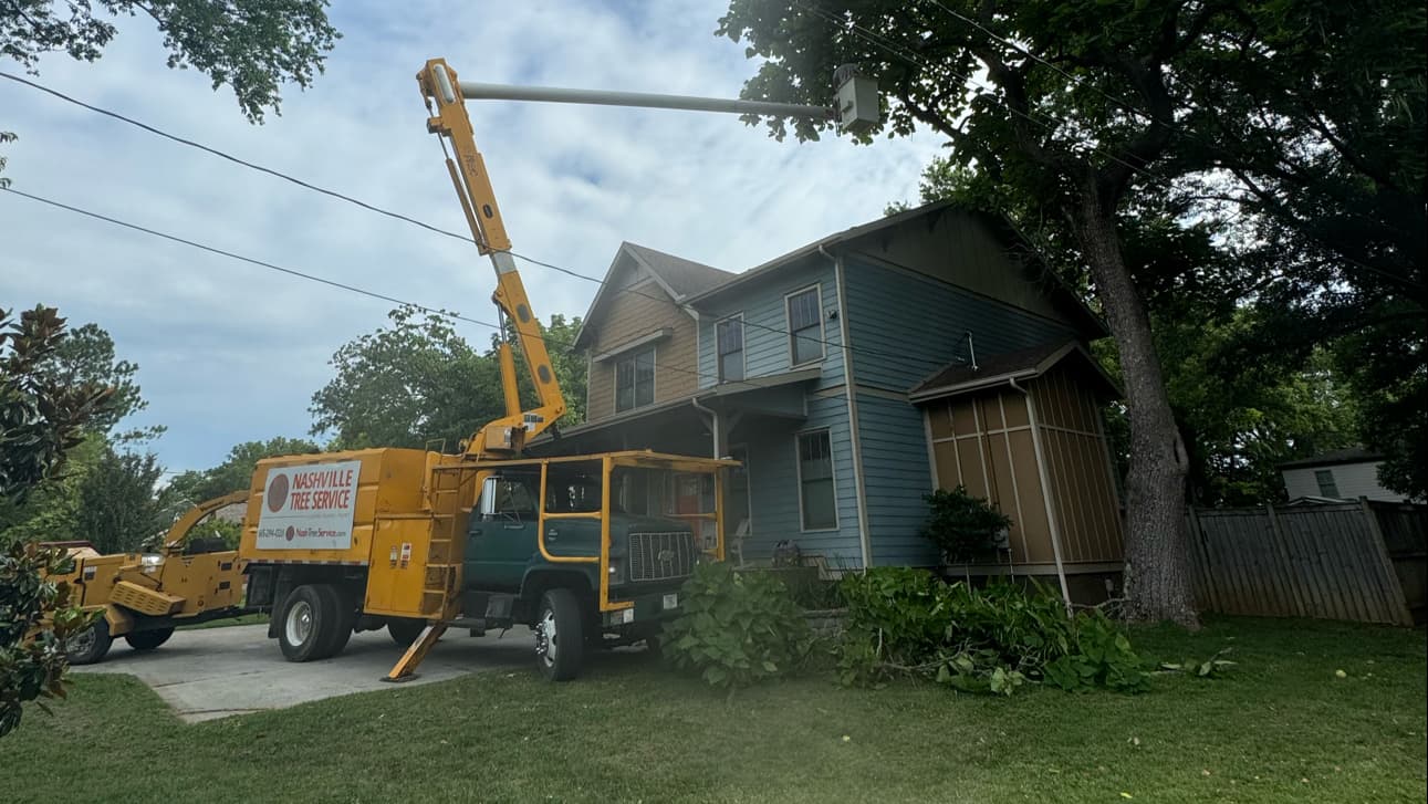 Nashville Tree Service NTS