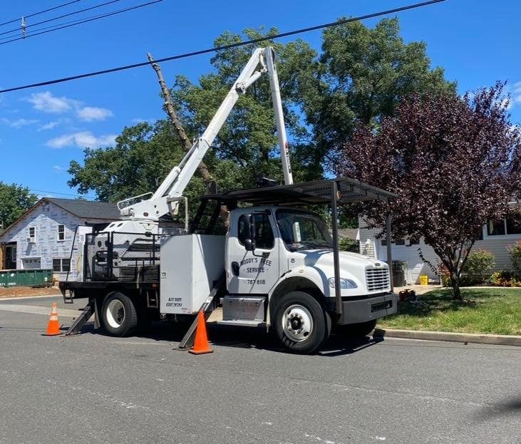 Woody's Tree Service