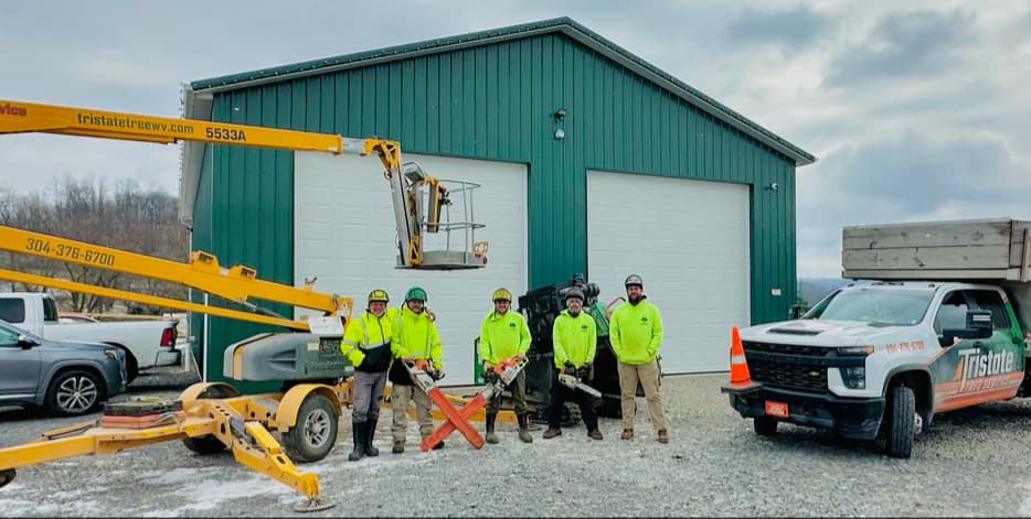 Tristate Tree Service and Firewood