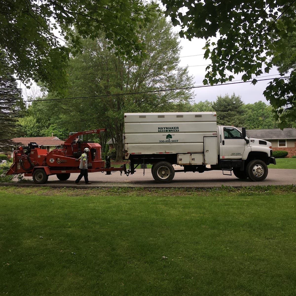 Haymaker Tree and Lawn