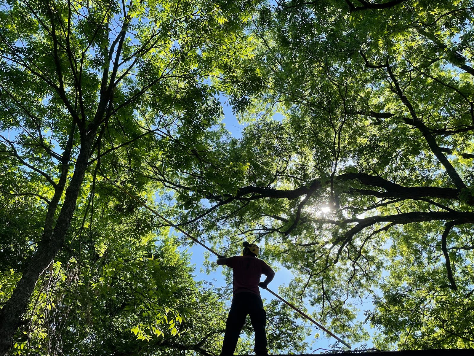 Missouri Arborist Company