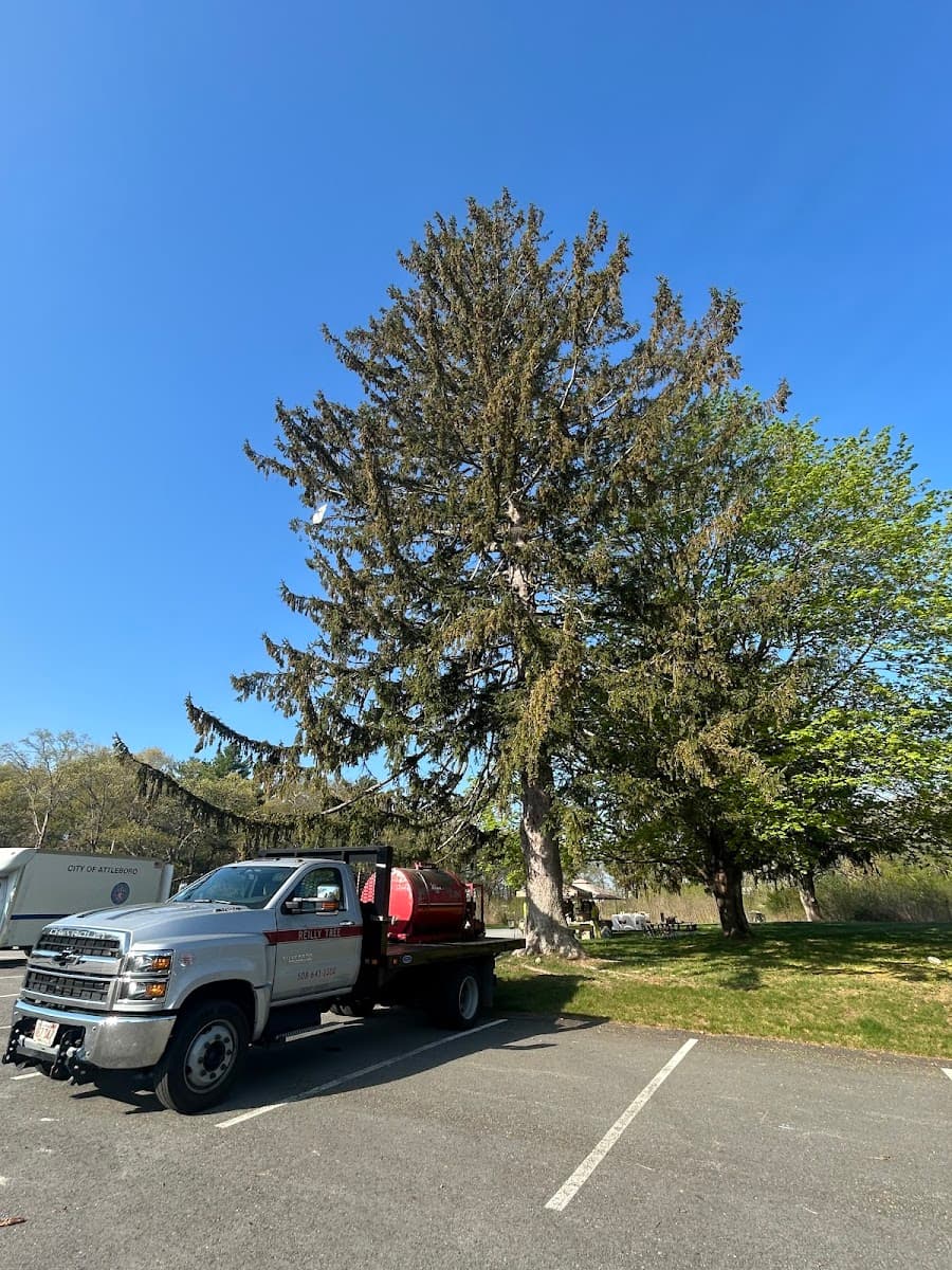 Reilly Tree & Landscape