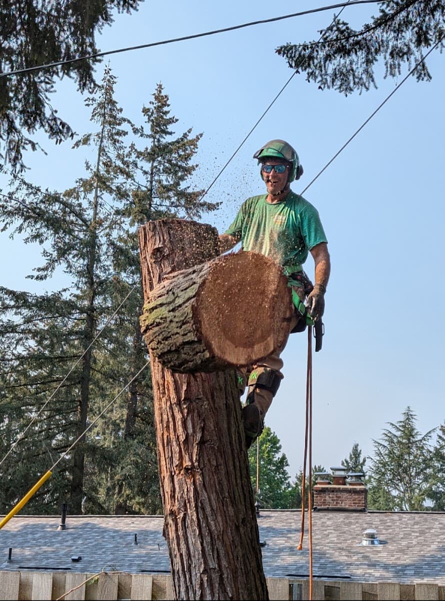 Very Good Stump Grinding