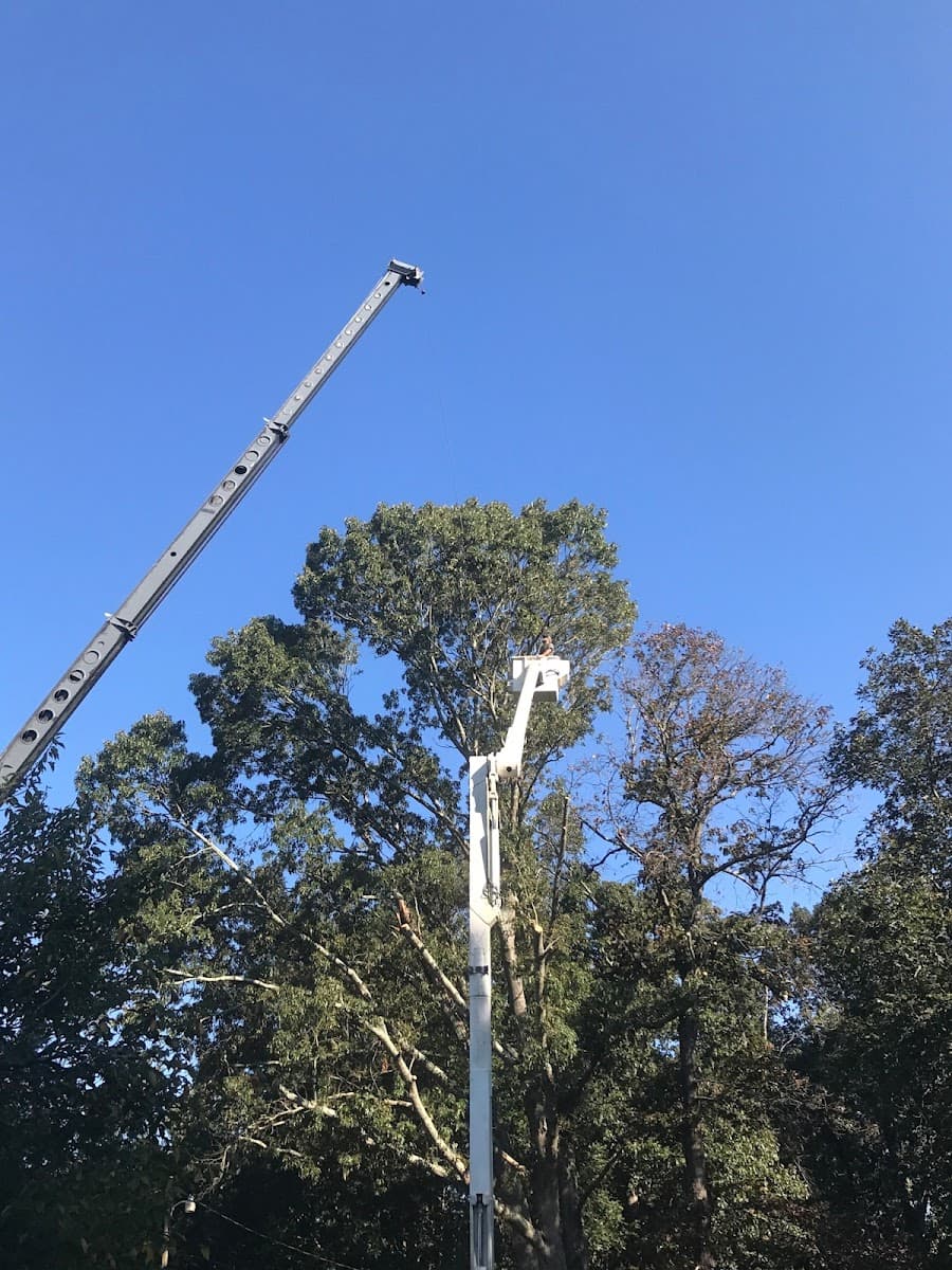 Faulkner Tree Service