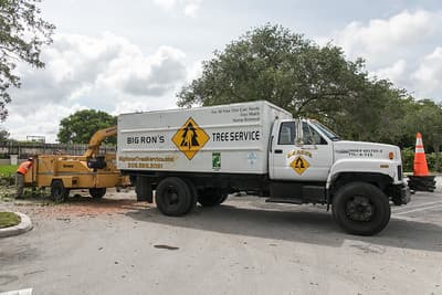 Big Ron’s Tree Service
