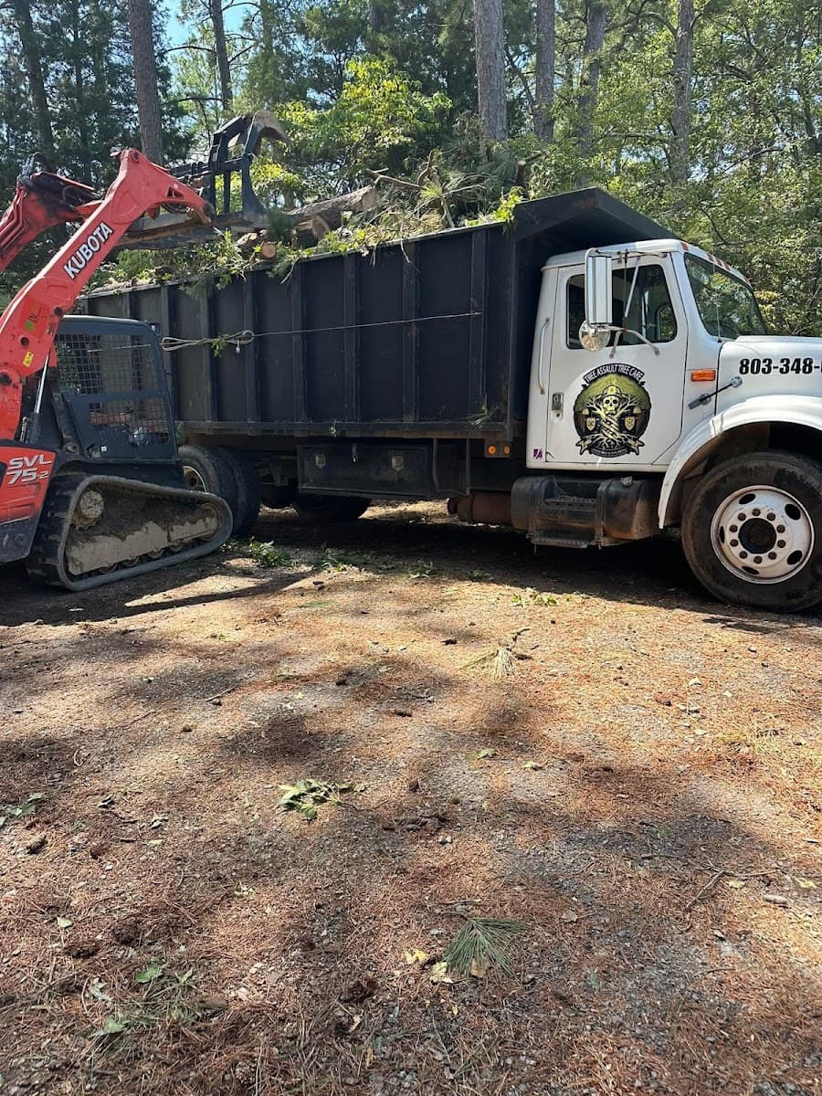 Tree Assault Tree Care