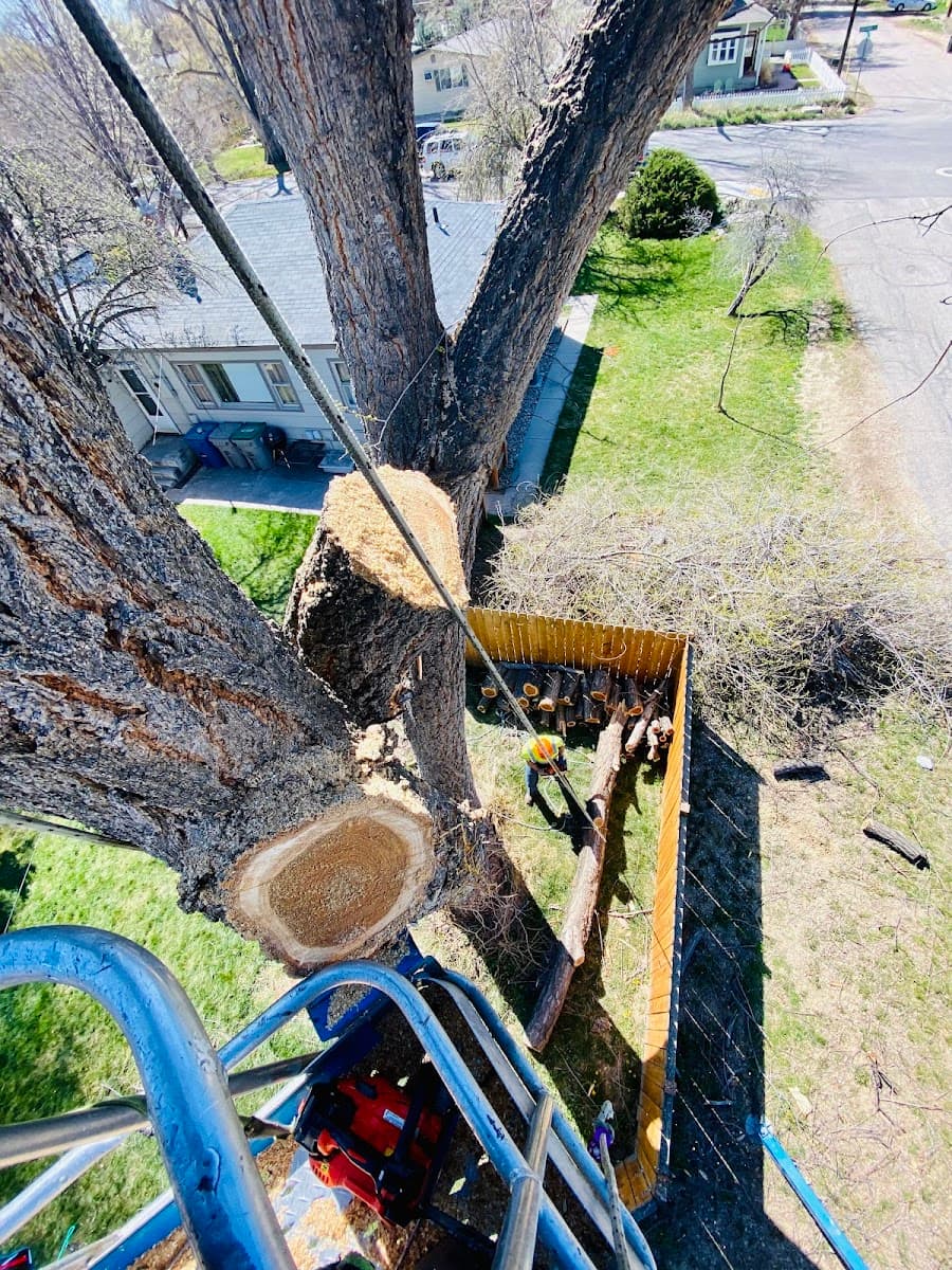 Idaho Tree Professionals