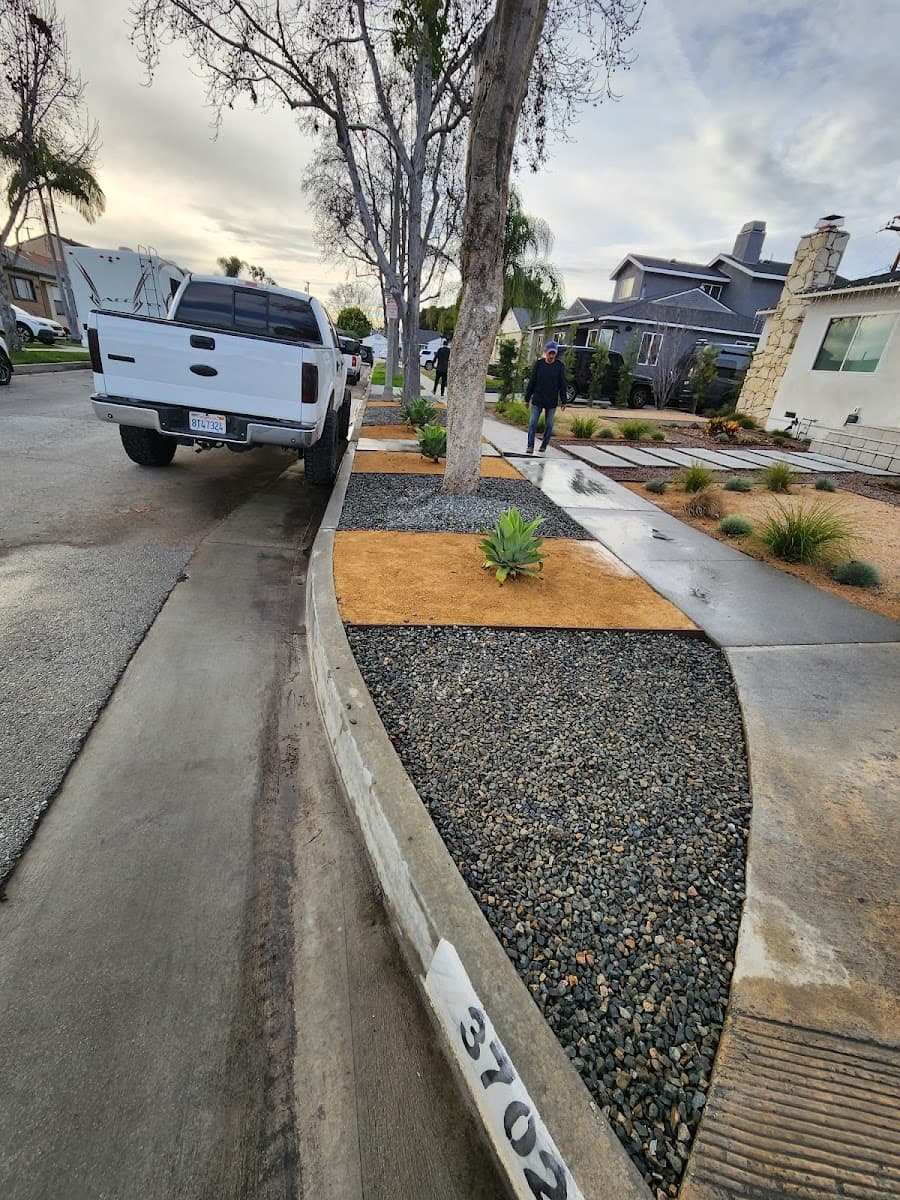 Timberline Tree Works