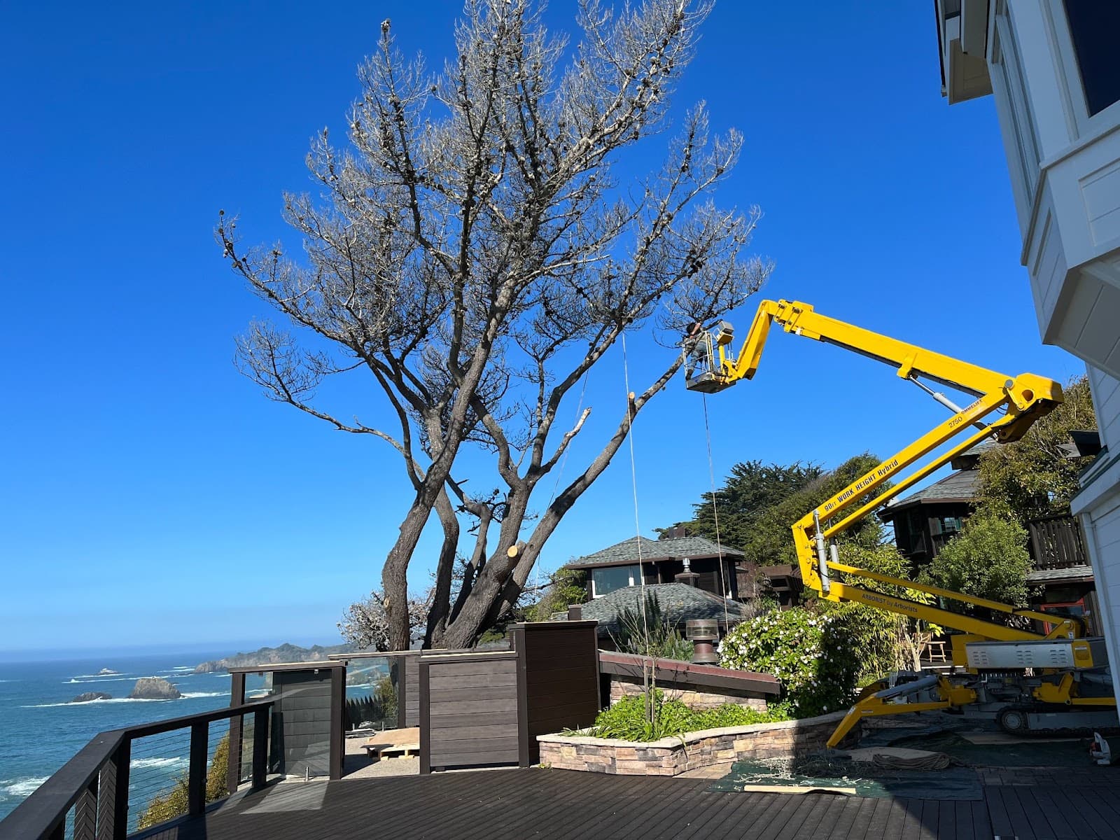 Johnson's Quality Tree Care