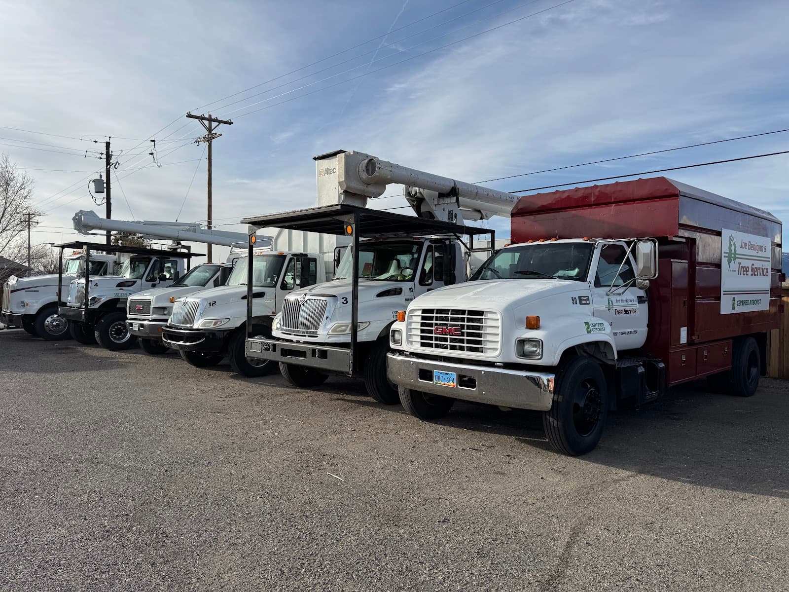 Joe Benigno's Tree Services