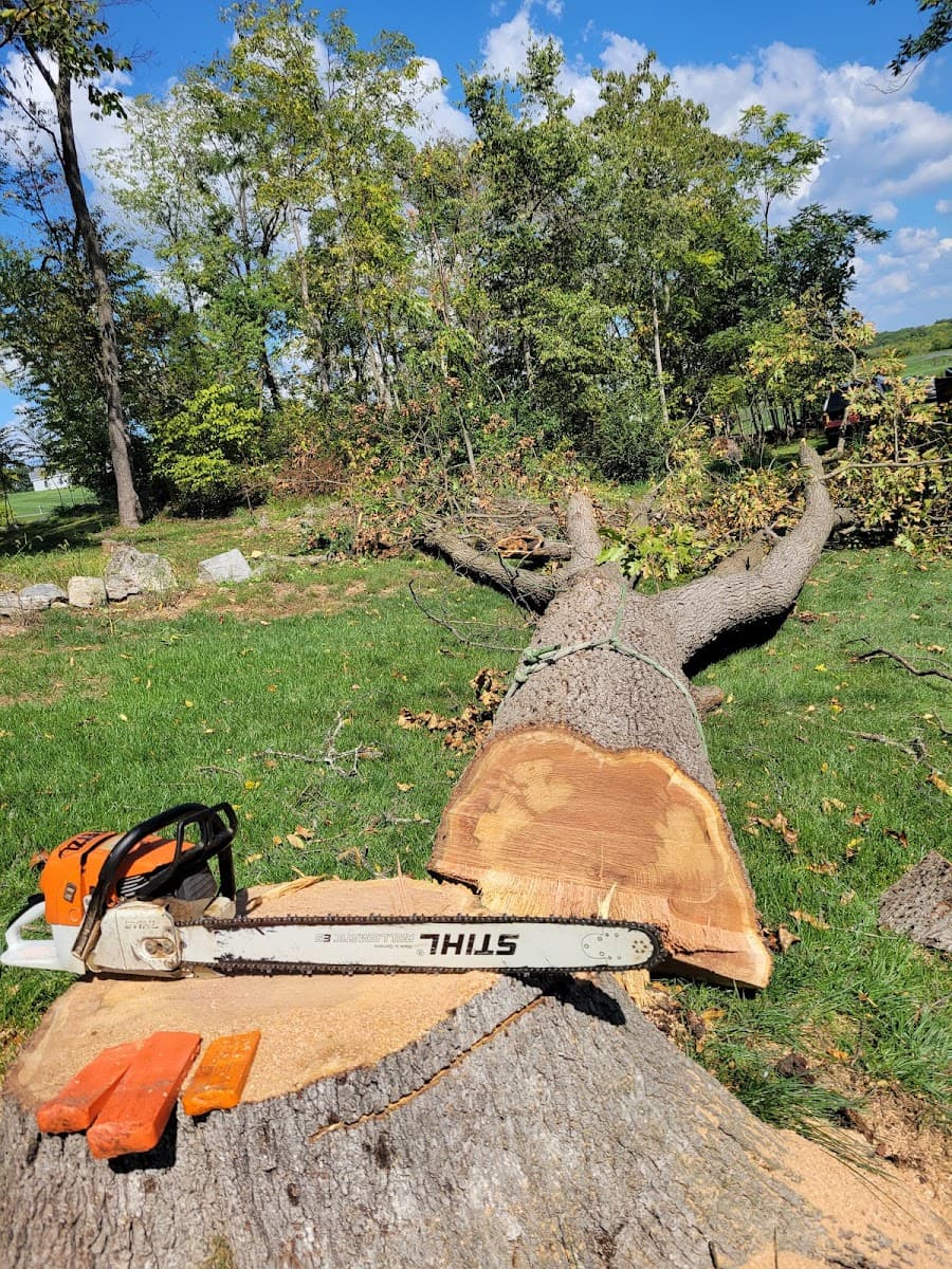 Valley Tree Services llc